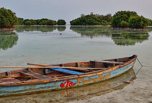 PAKET WISATA Pulau Pari 2 Hari 1 Malam