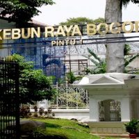 paket wisata kebun raya dan wayang